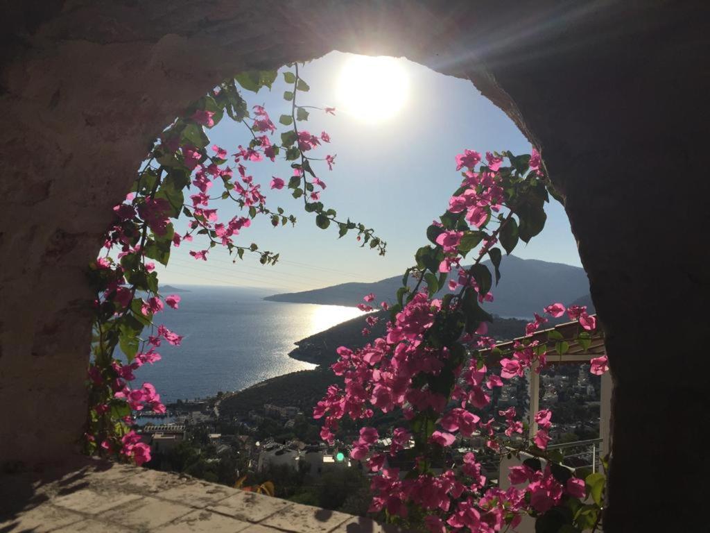 Villa Valo Kalkan Eksteriør billede