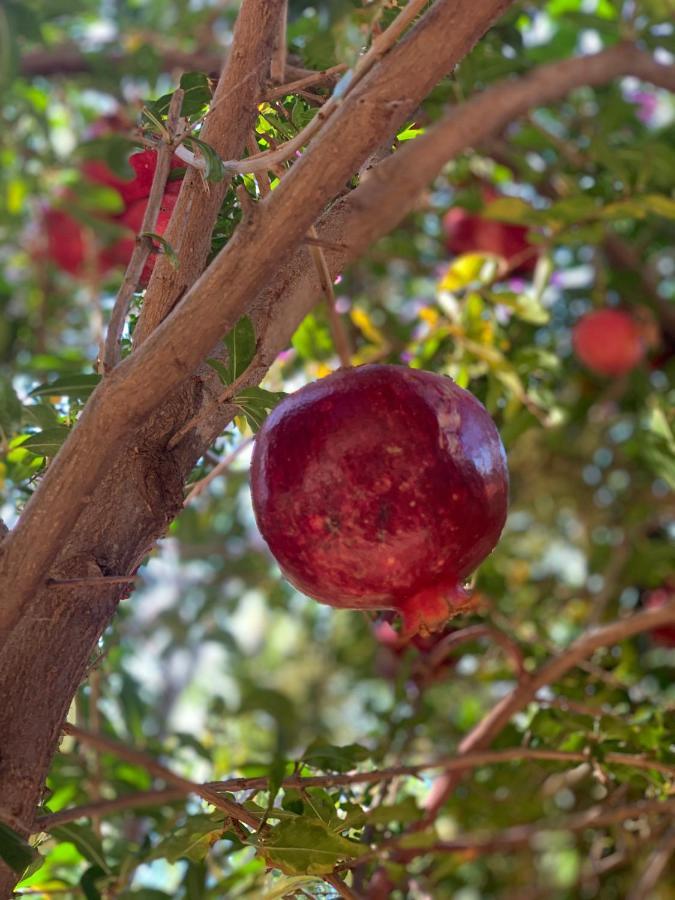 Villa Valo Kalkan Eksteriør billede